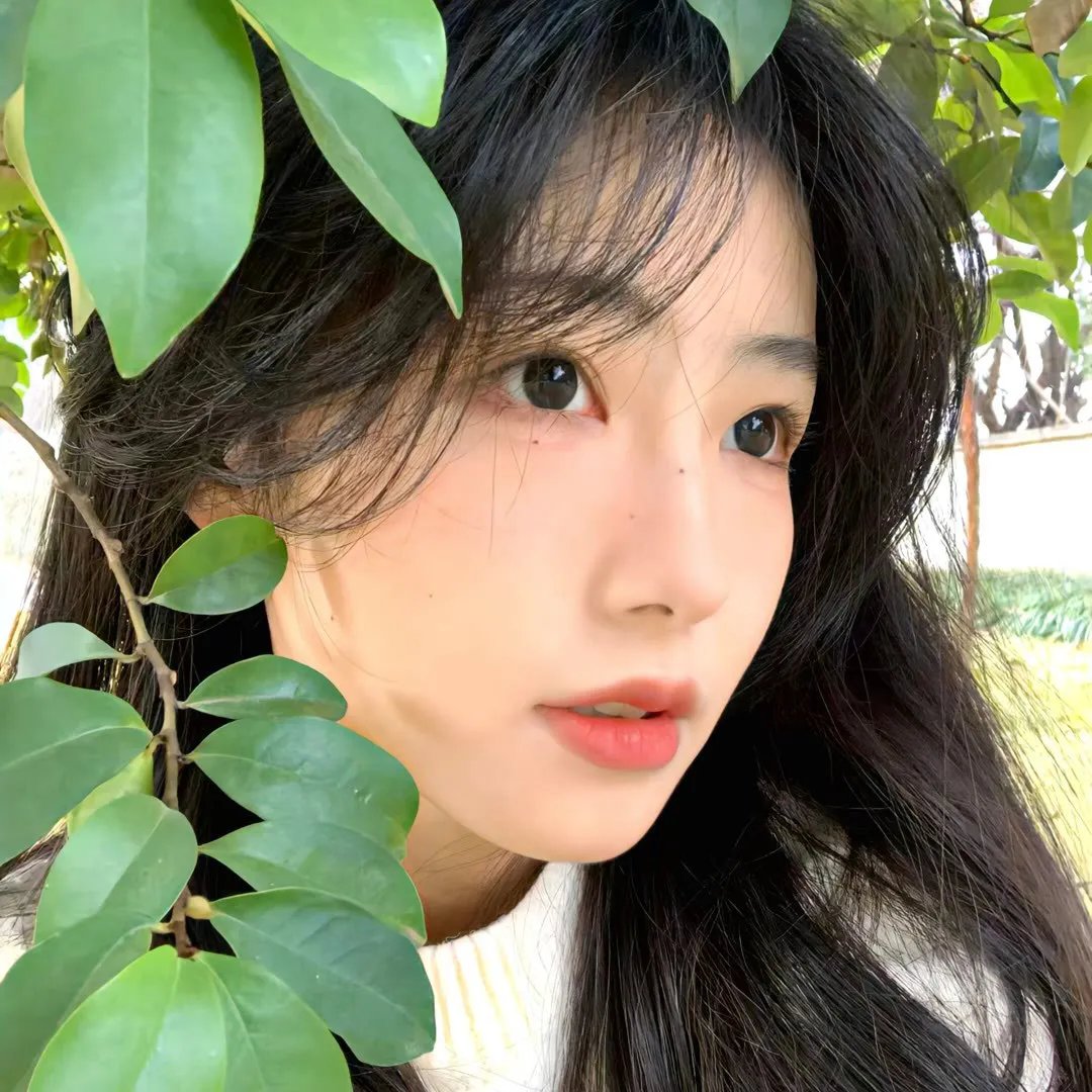 我的印度朋友