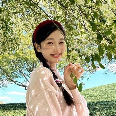 钢炽之芯