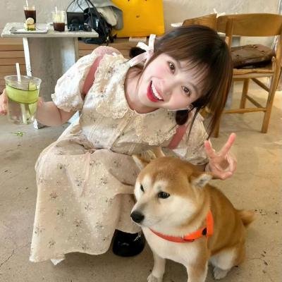 认贼作爸妈